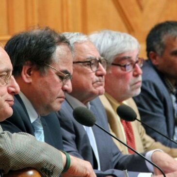 شورای مدیریت گذار، روابط ، خطوط ، سیاستها و منافع – بخش اول: شهریار آهی